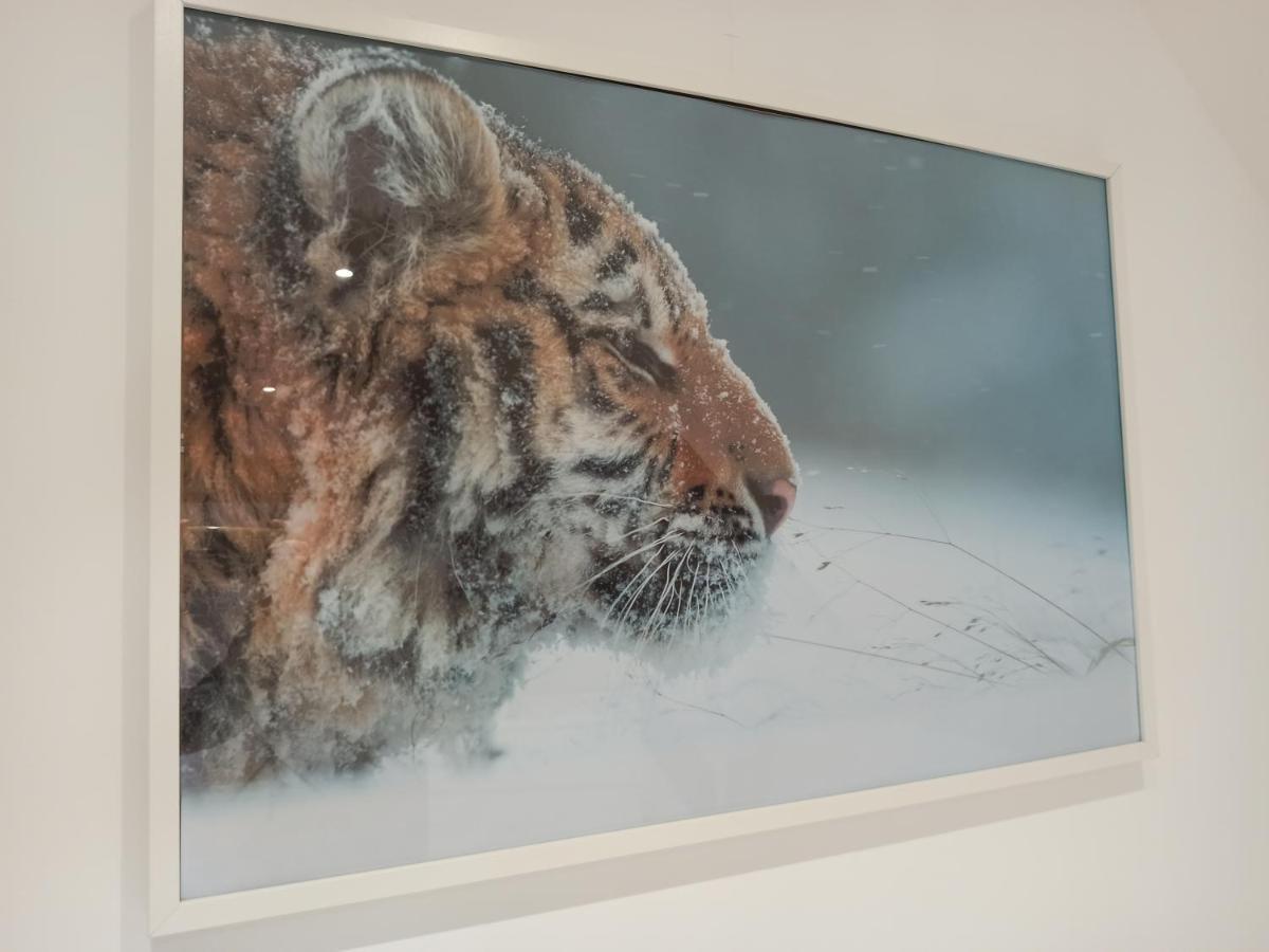 A 4 Min Du Zoo De Beauval La Maison A Partager Ch4 2Eme Etage Saint-Aignan  Zewnętrze zdjęcie